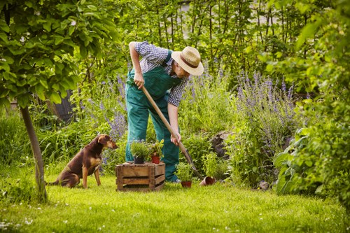 Eco-friendly lawn mowing practices