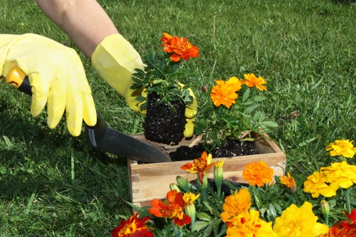 Investigation team inspecting a garden border for faults
