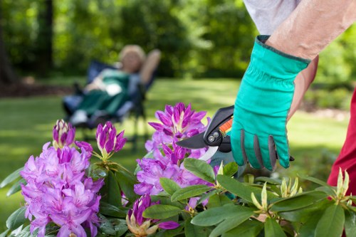 Landscaping work near a typical Camberwell terraced house
