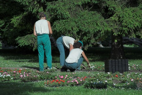 Professional gardener working in Camberwell garden