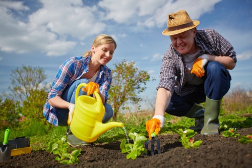 Community garden project by Gardeners Camberwell