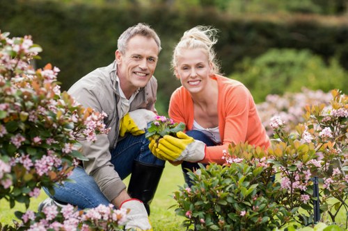 Camberwell resident choosing lawn service